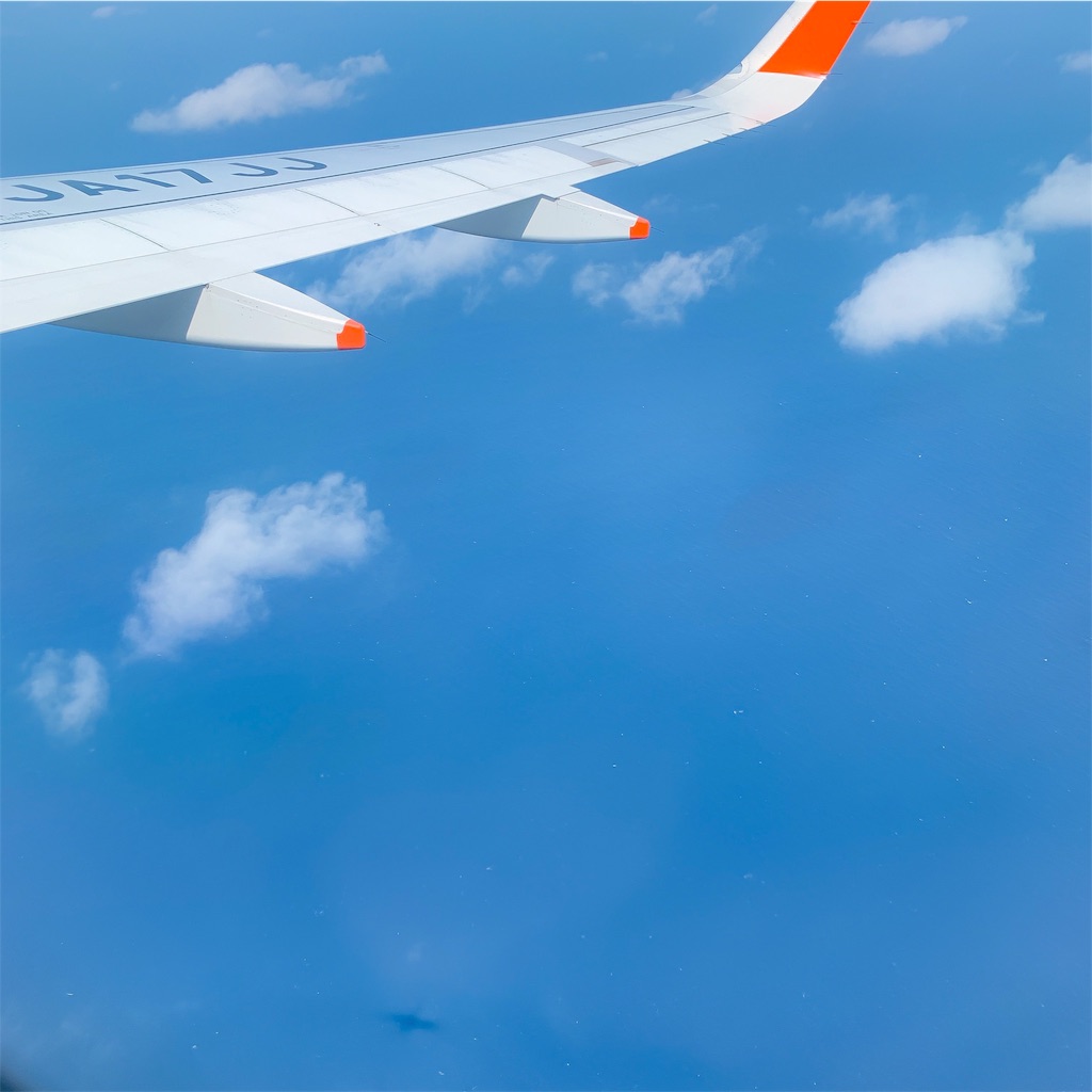 f:id:haruneeeeko:20190320213526j:image