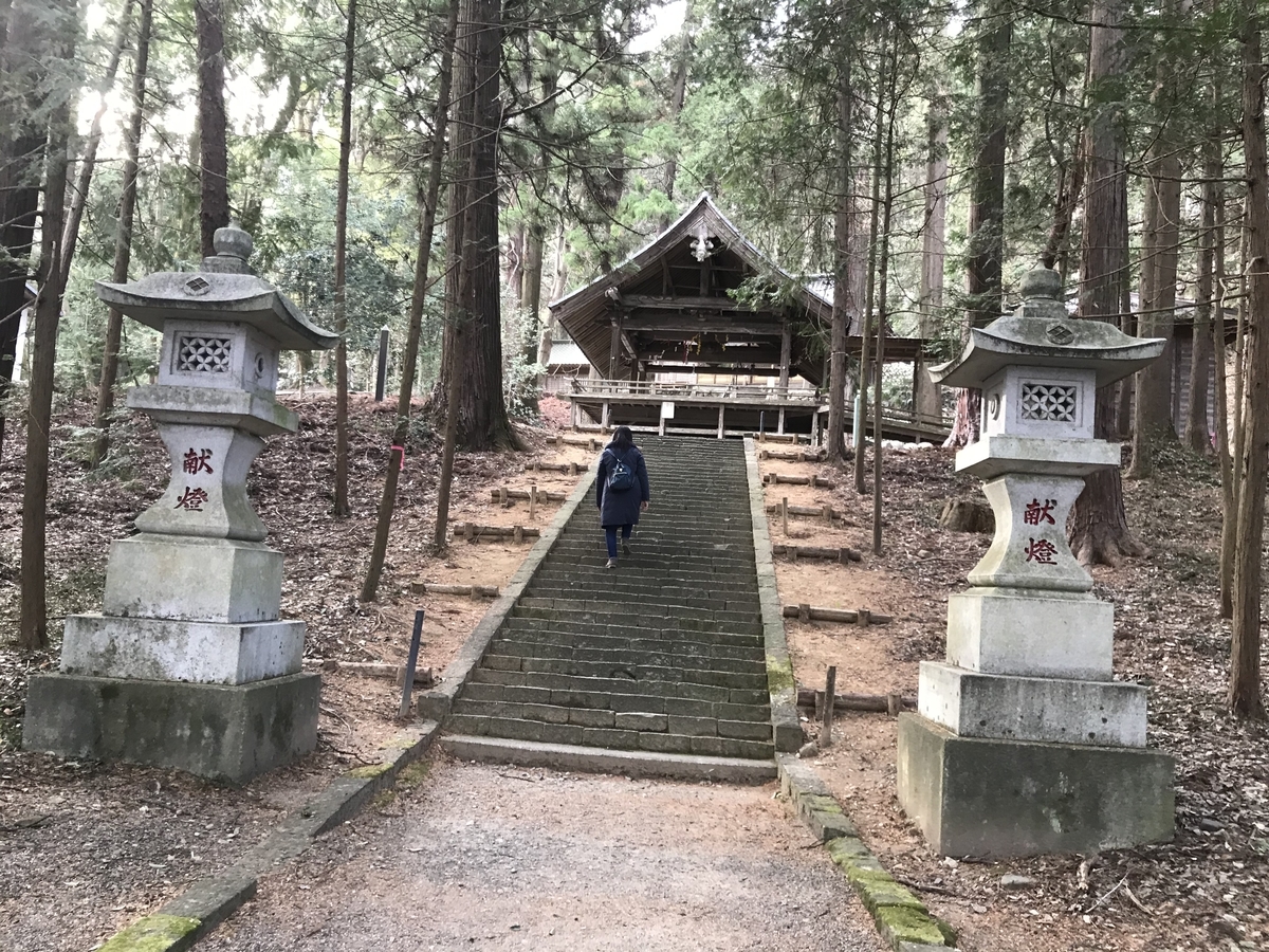f:id:haruniwa2019:20210214204149j:plain