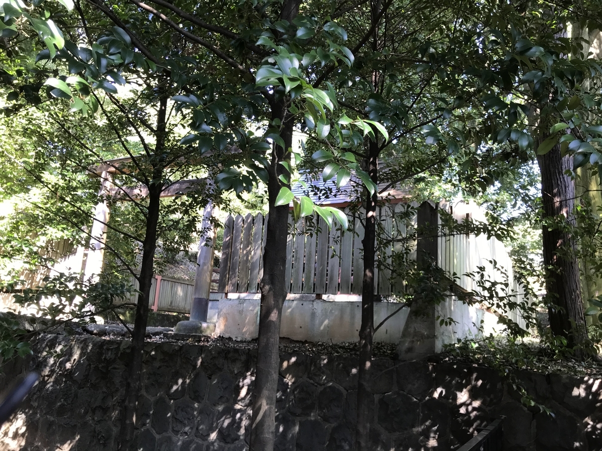 f:id:haruniwa2019:20211027200906j:plain