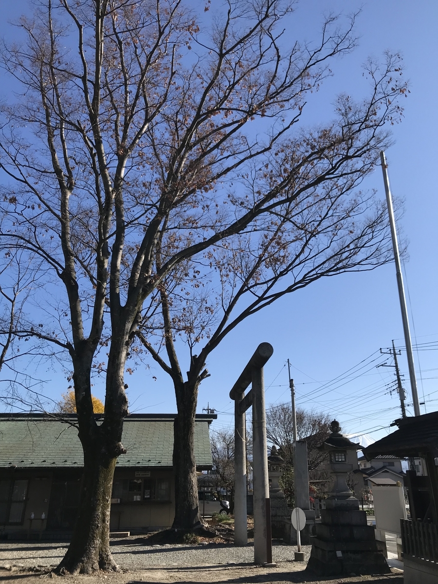 f:id:haruniwa2019:20211221083249j:plain