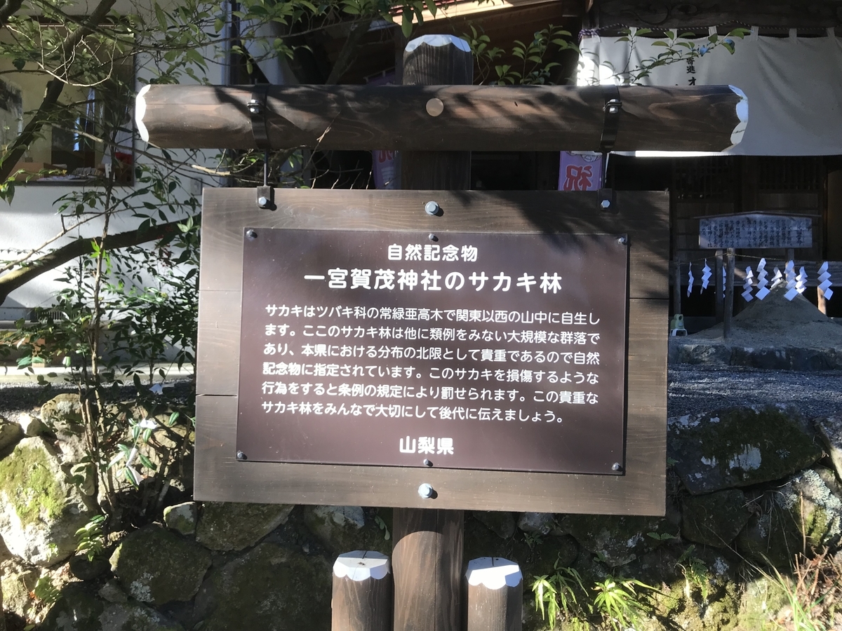 f:id:haruniwa2019:20220105085014j:plain