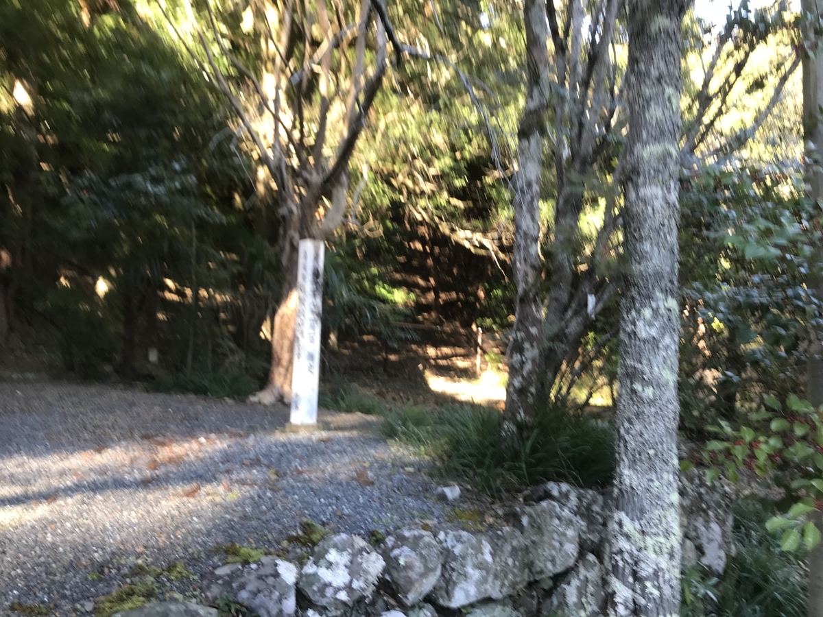 f:id:haruniwa2019:20220105085140j:plain