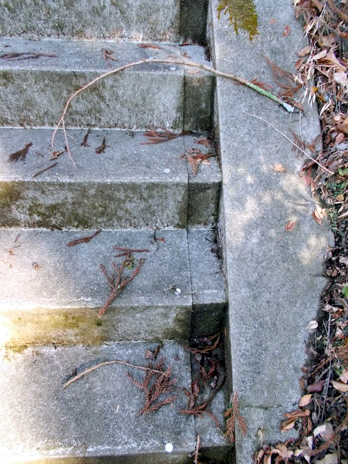 f:id:haruno-gio:20190331194626j:plain