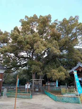 f:id:haruno-gio:20190402213640j:plain