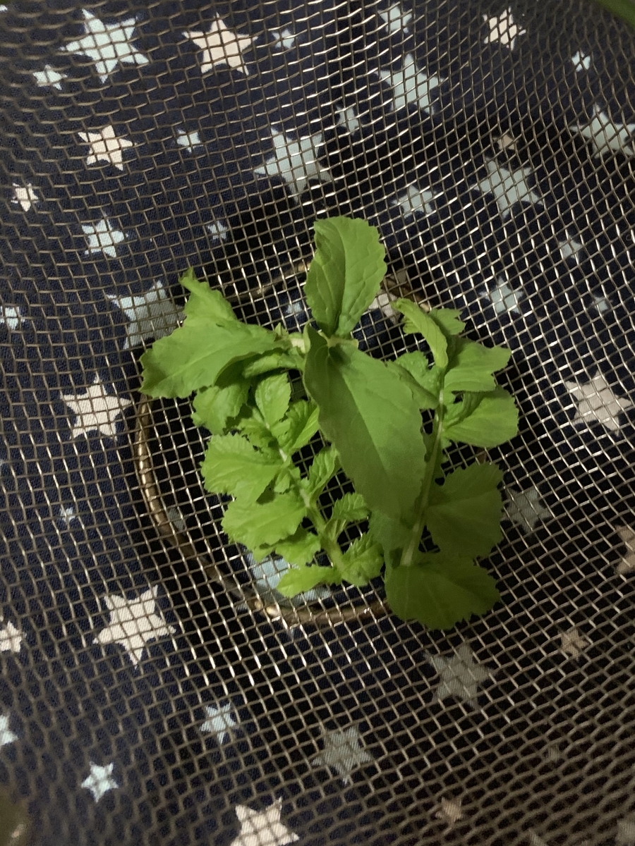 f:id:harunohihuyunohi:20190903225638j:plain f:id:harunohihuyunohi:20190903225638j:plain
