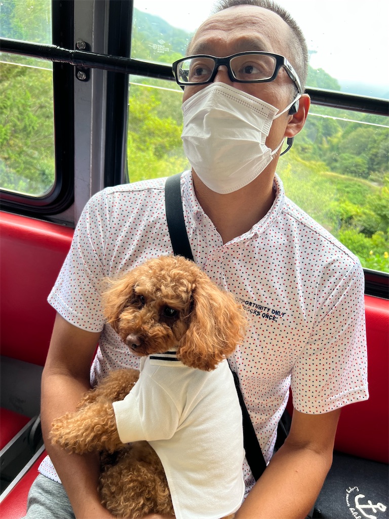 f:id:harunoutao:20220912231908j:image f:id:harunoutao:20220912231908j:image