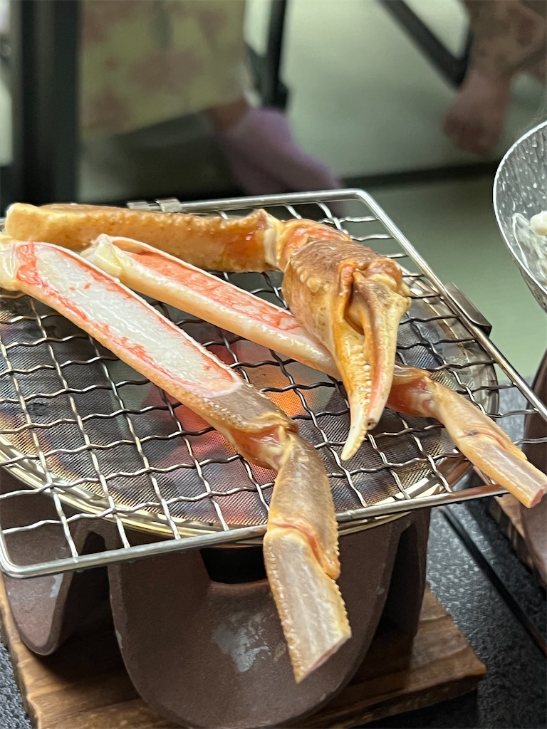 f:id:harunoutao:20230123234701j:image f:id:harunoutao:20230123234701j:image