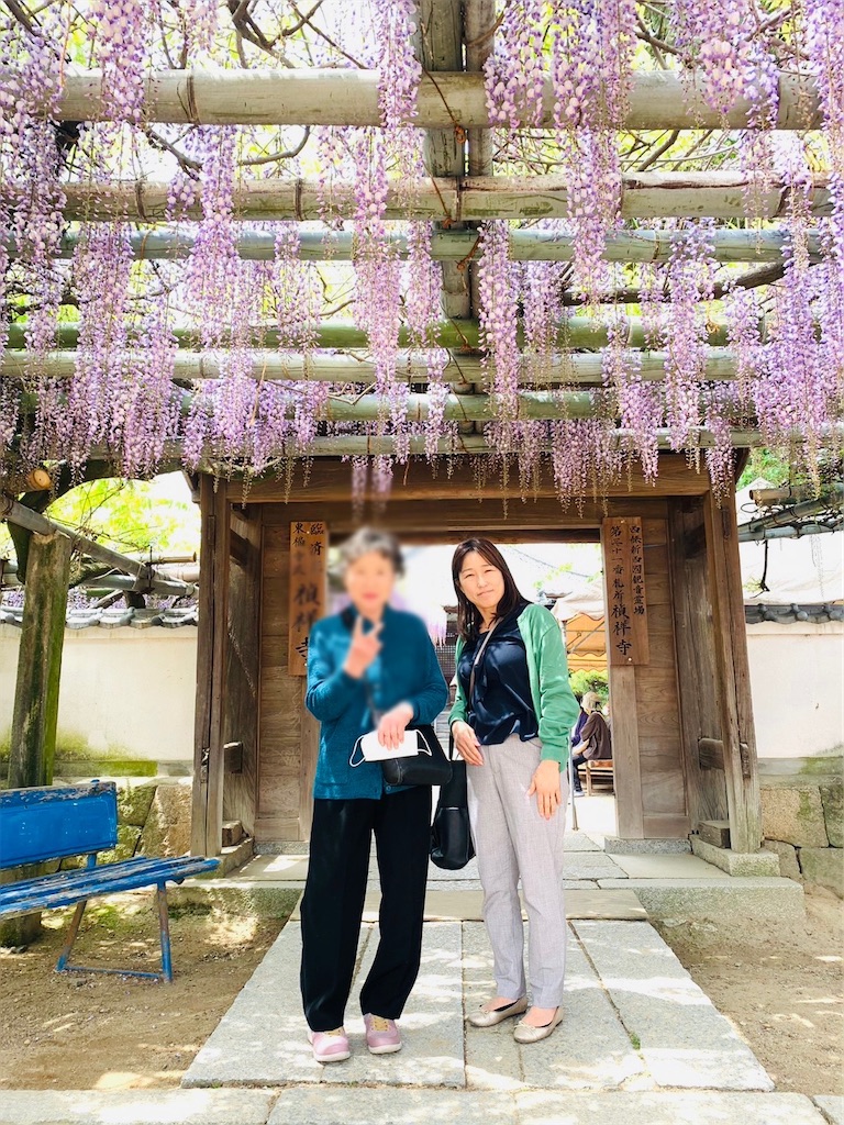 f:id:harunoutao:20230421234032j:image
