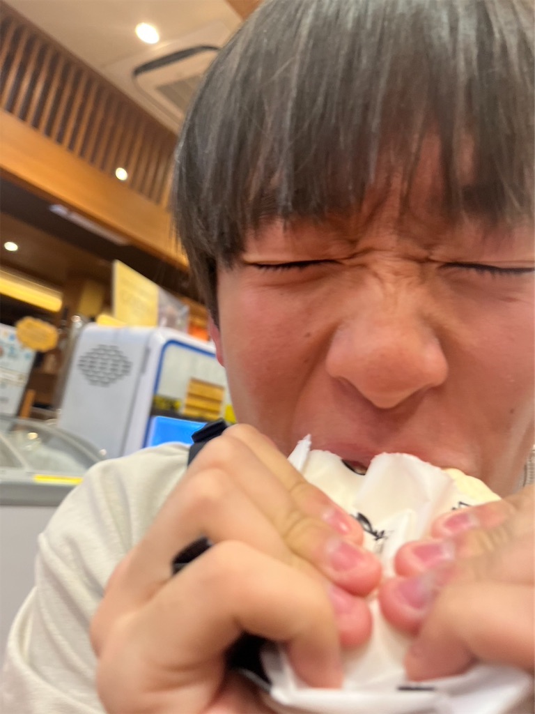 f:id:harunoutao:20230507001043j:image