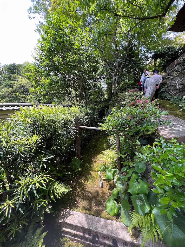 f:id:harunoutao:20230601055210j:image