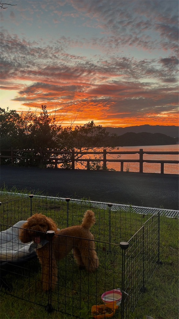 f:id:harunoutao:20230815235142j:image f:id:harunoutao:20230815235142j:image