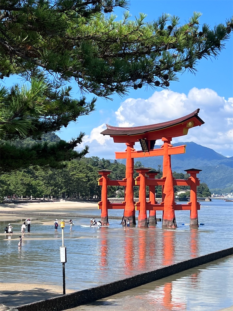 f:id:harunoutao:20230827235532j:image