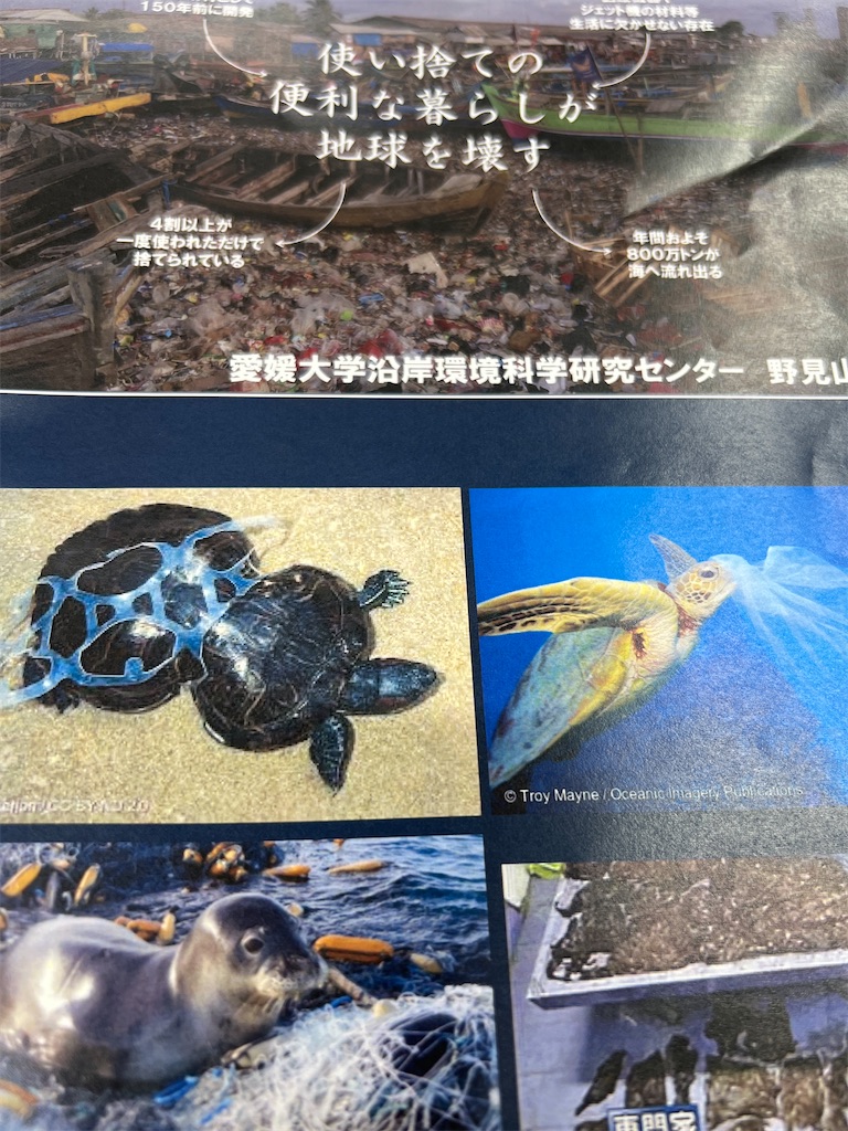 f:id:harunoutao:20230919001931j:image f:id:harunoutao:20230919001931j:image