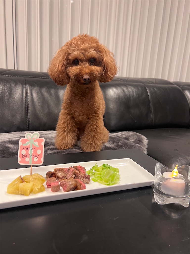 f:id:harunoutao:20231107230145j:image f:id:harunoutao:20231107230145j:image