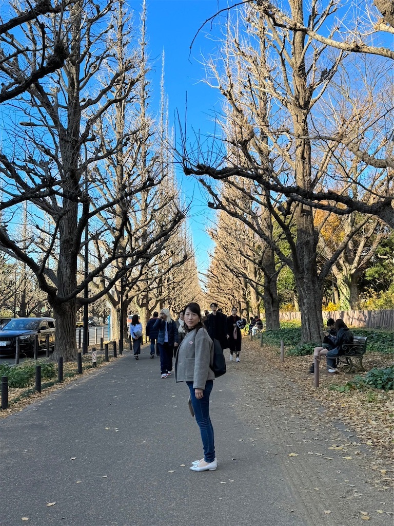 f:id:harunoutao:20240101001023j:image
