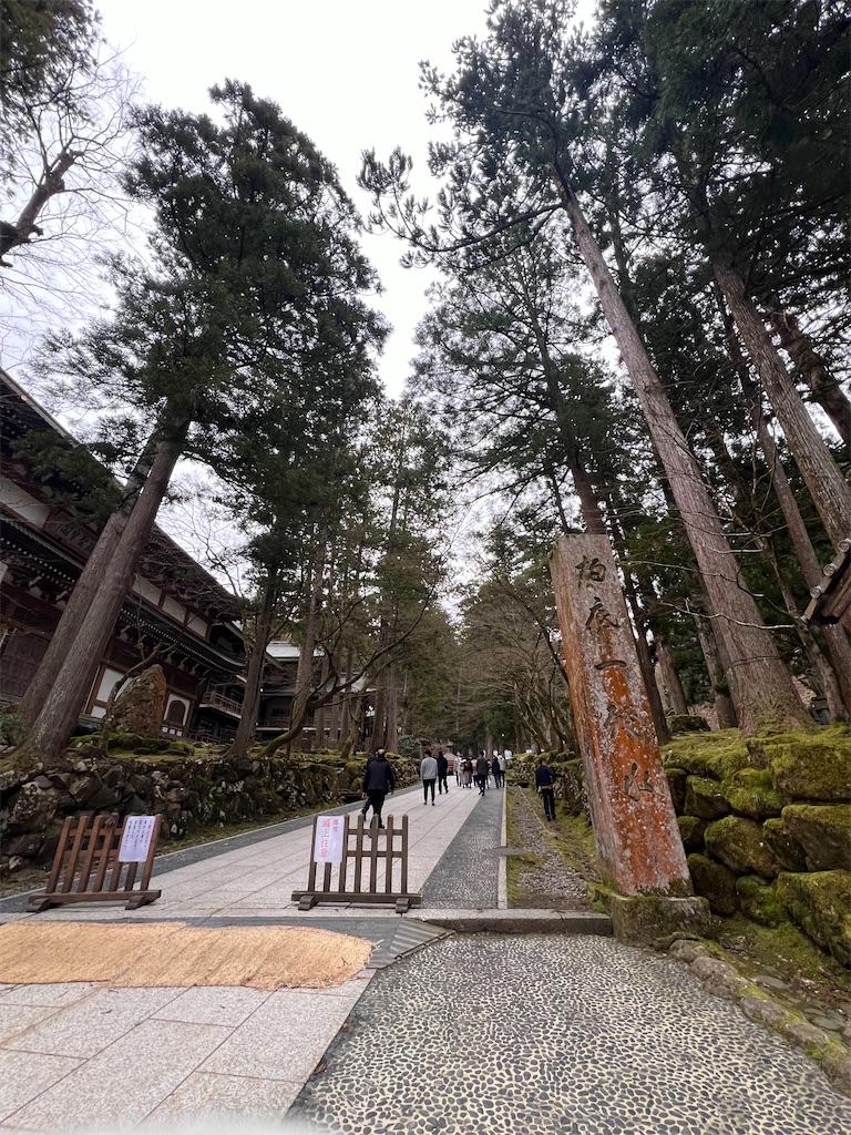 f:id:harunoutao:20240321000726j:image
