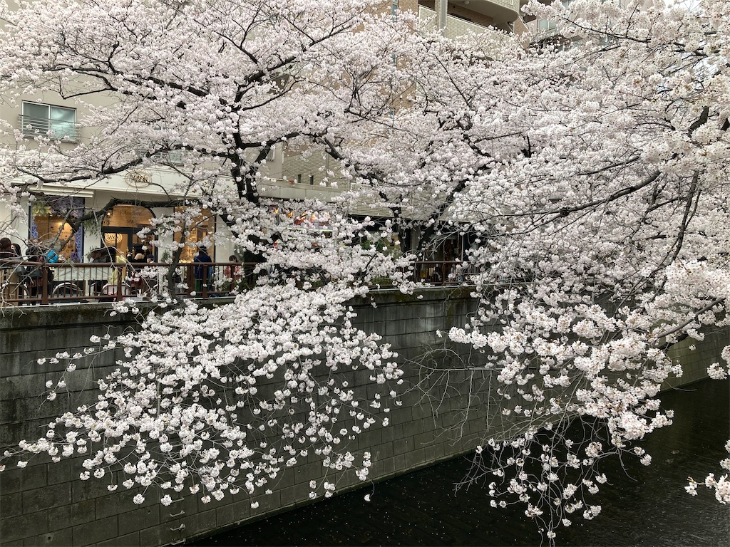 f:id:harunp:20220401002208j:image f:id:harunp:20220401002208j:image