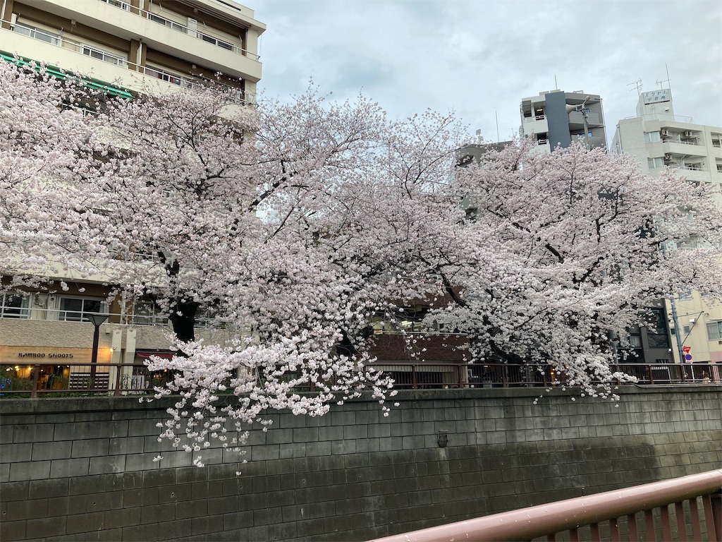 f:id:harunp:20220401002216j:image f:id:harunp:20220401002216j:image