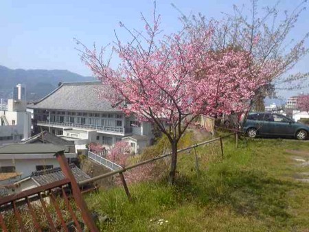 f:id:harupapa:20120328124100j:image f:id:harupapa:20120328124100j:image