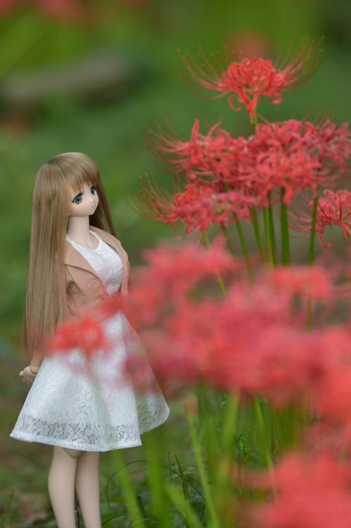f:id:harupen511:20161119180255j:plain f:id:harupen511:20161119180255j:plain