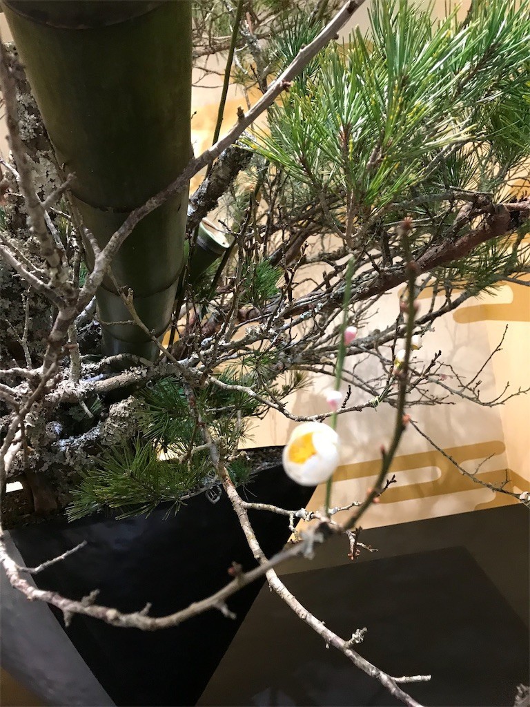 f:id:harupinruu:20190126234216j:image f:id:harupinruu:20190126234216j:image