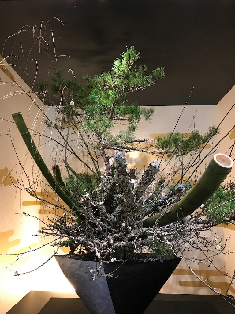 f:id:harupinruu:20190126234222j:image f:id:harupinruu:20190126234222j:image