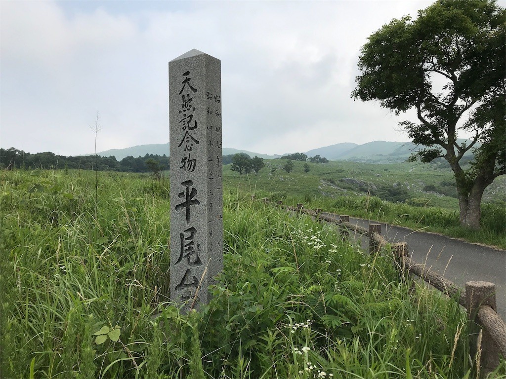 f:id:harupinruu:20190624214133j:image f:id:harupinruu:20190624214133j:image