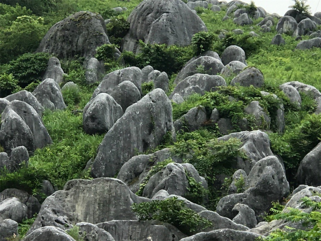 f:id:harupinruu:20190624214140j:image f:id:harupinruu:20190624214140j:image