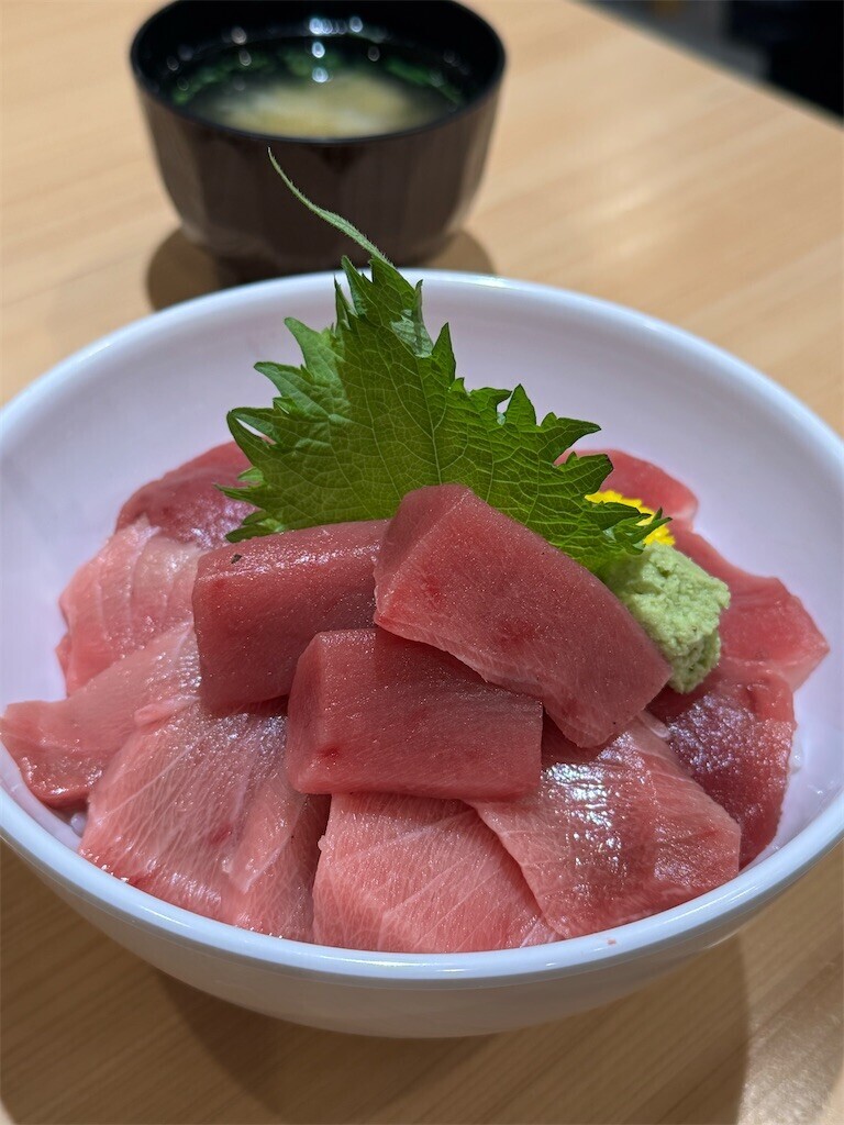 f:id:harupinruu:20260120185509j:image
