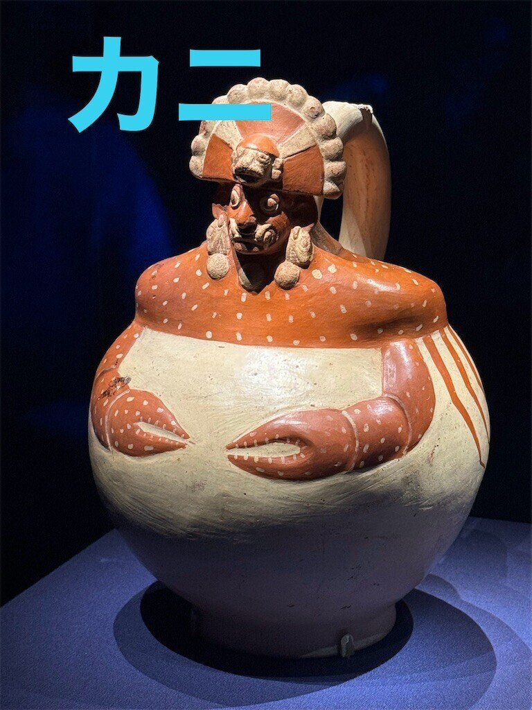 f:id:harupinruu:20260318093027j:image