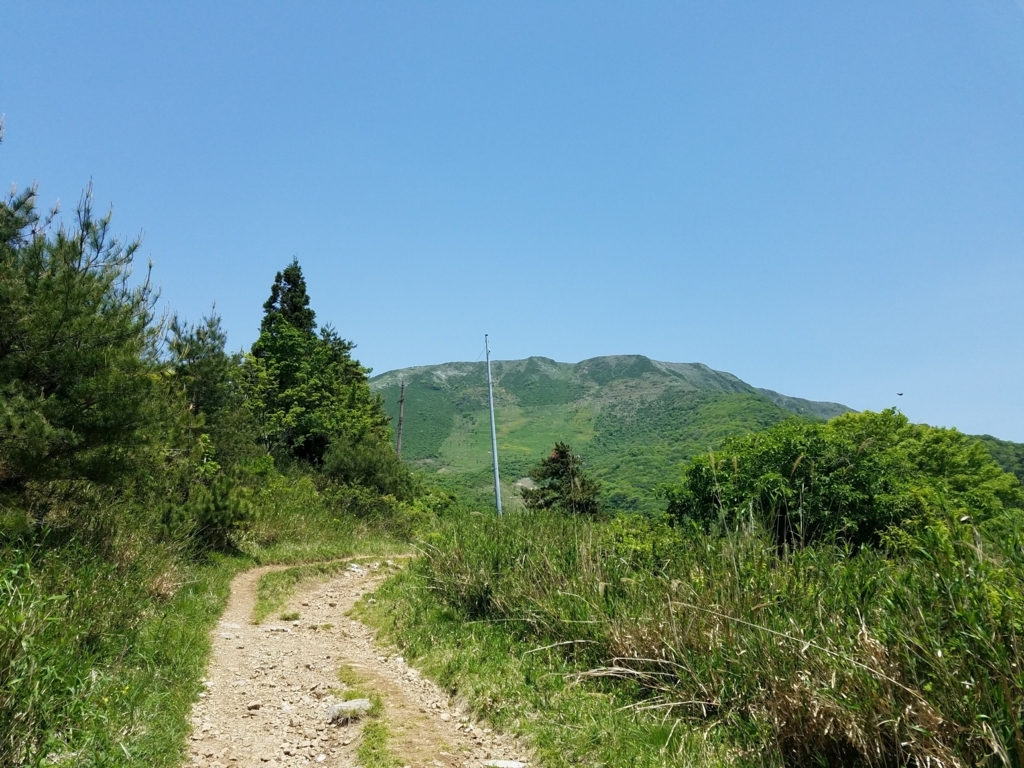 f:id:harupisu:20180519114726j:plain f:id:harupisu:20180519114726j:plain