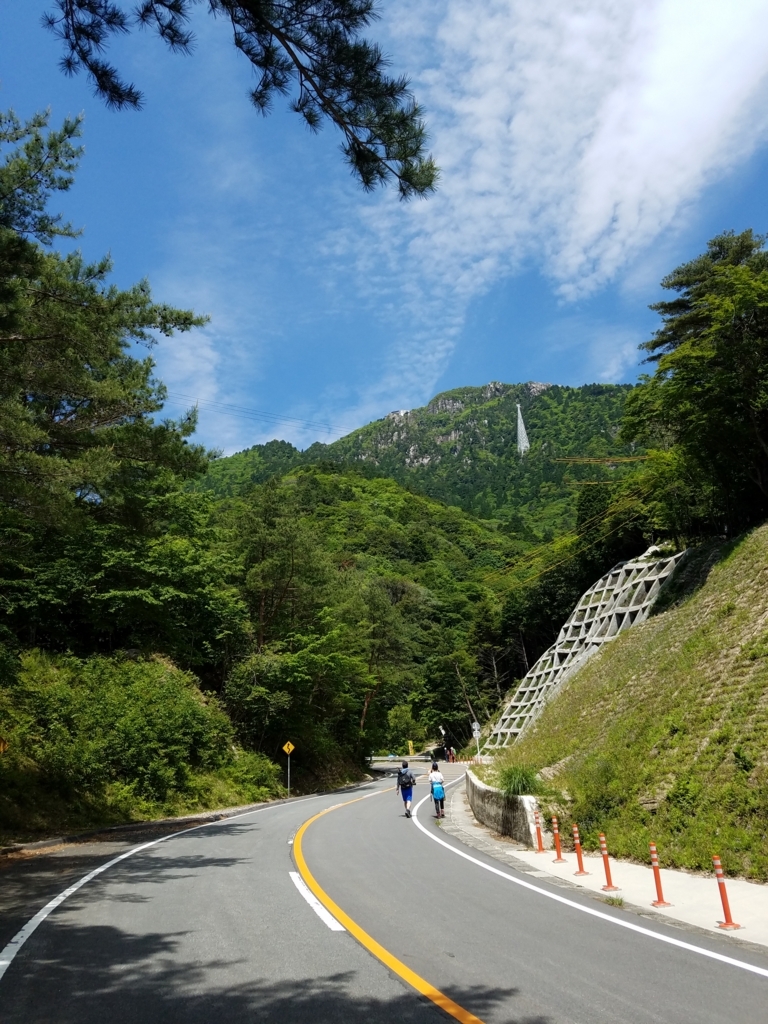 f:id:harupisu:20180524163913j:plain f:id:harupisu:20180524163913j:plain