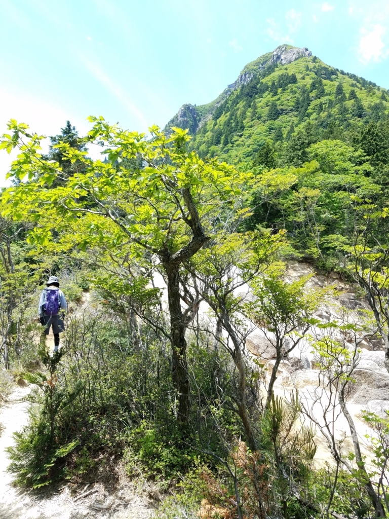 f:id:harupisu:20180524164124j:plain f:id:harupisu:20180524164124j:plain