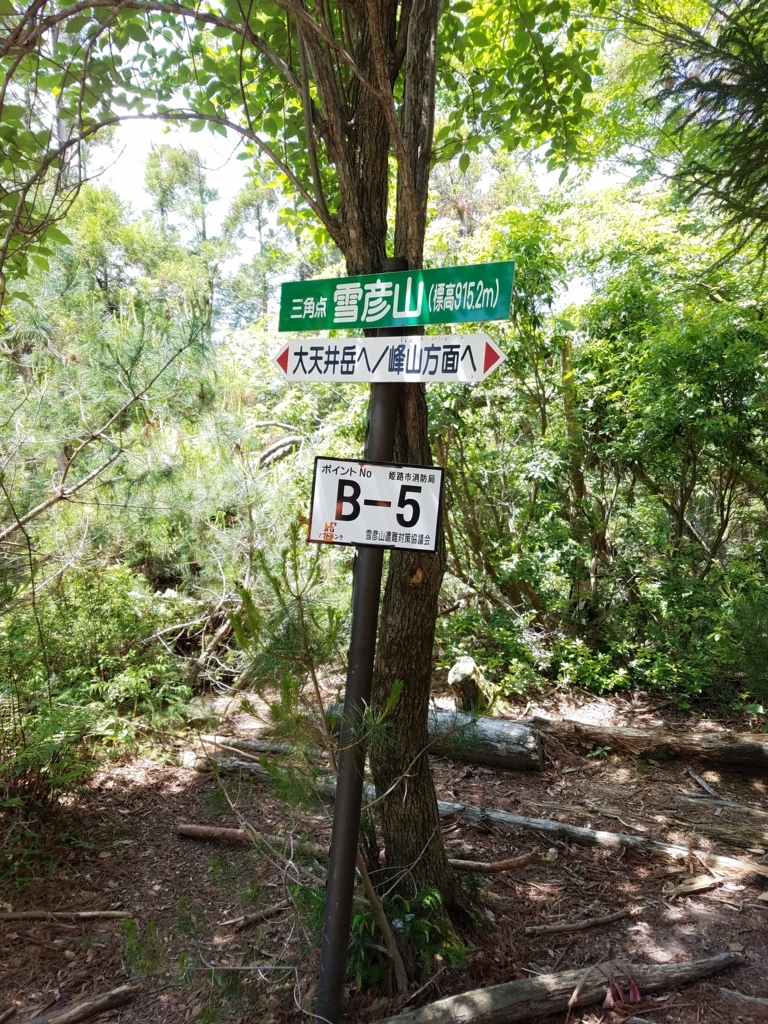 f:id:harupisu:20180728152931j:plain f:id:harupisu:20180728152931j:plain