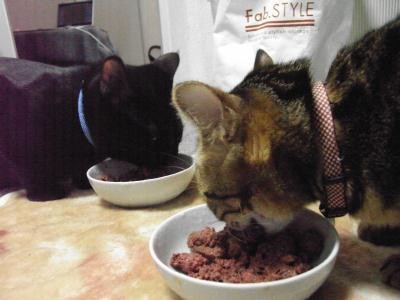 f:id:harupu:20090101022422j:image