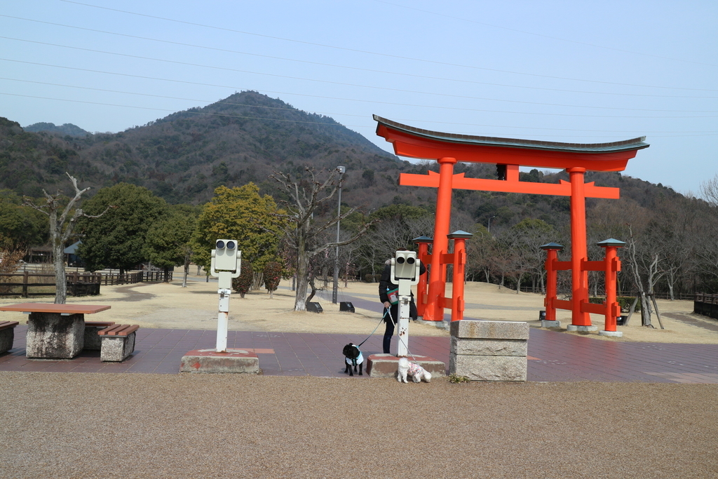 f:id:harupug:20190219212507j:plain