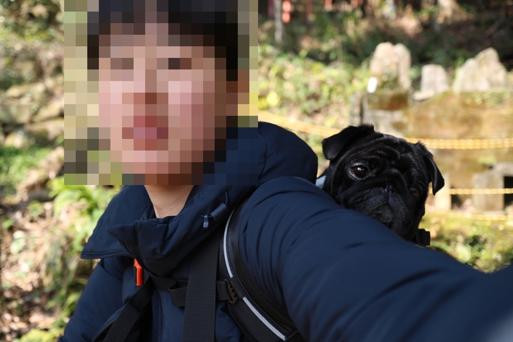 f:id:harupug:20190303003548j:plain