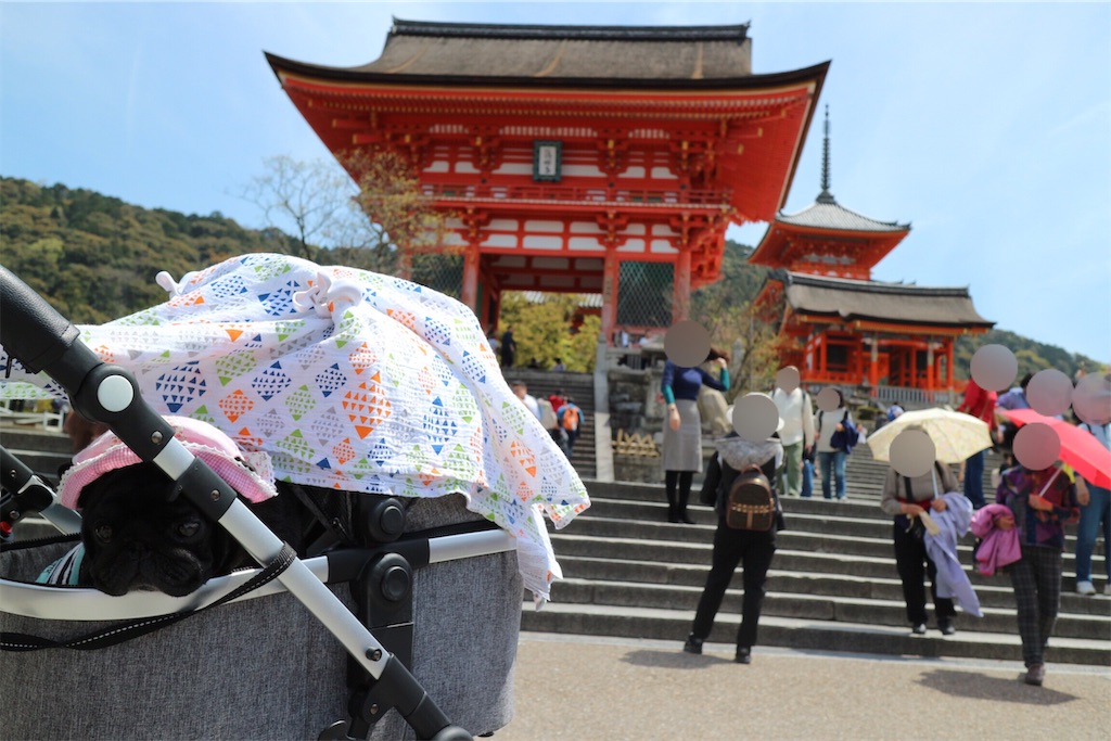 f:id:harupug:20190418232046j:image