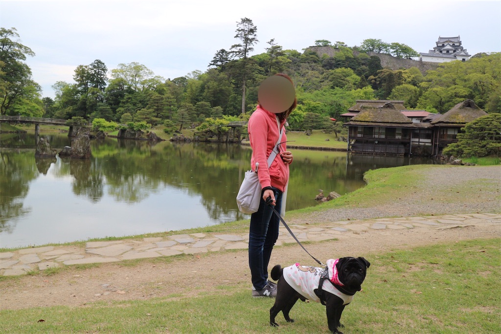 f:id:harupug:20190515091545j:image