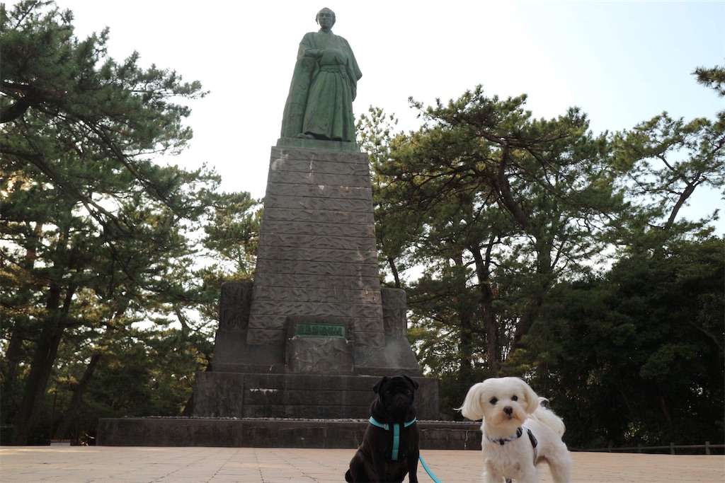 f:id:harupug:20190614144356j:image