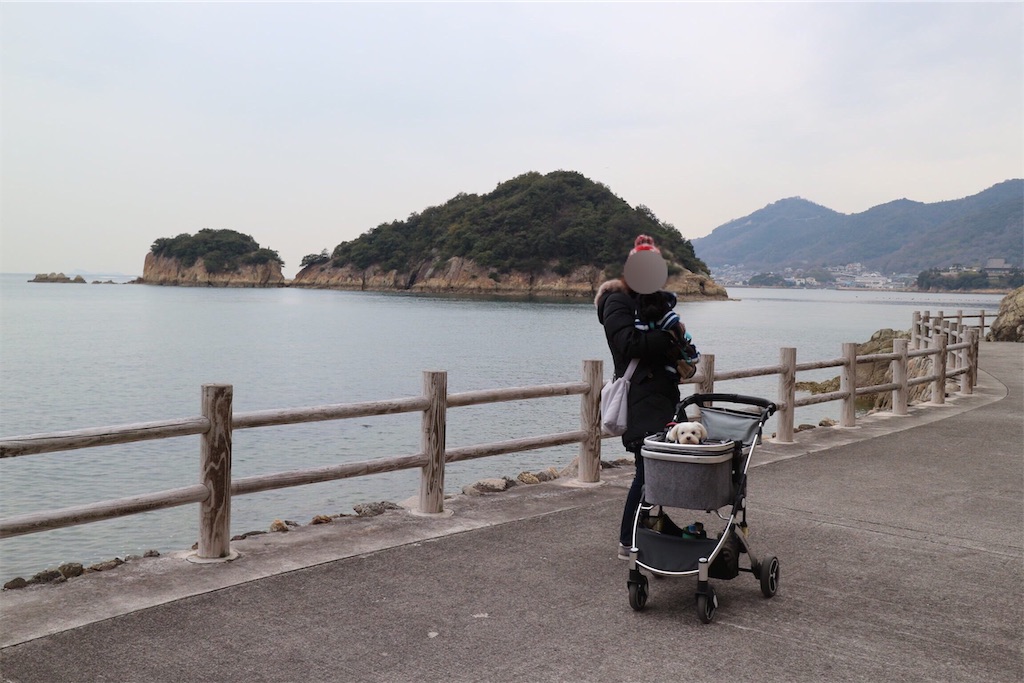 f:id:harupug:20190621191232j:image