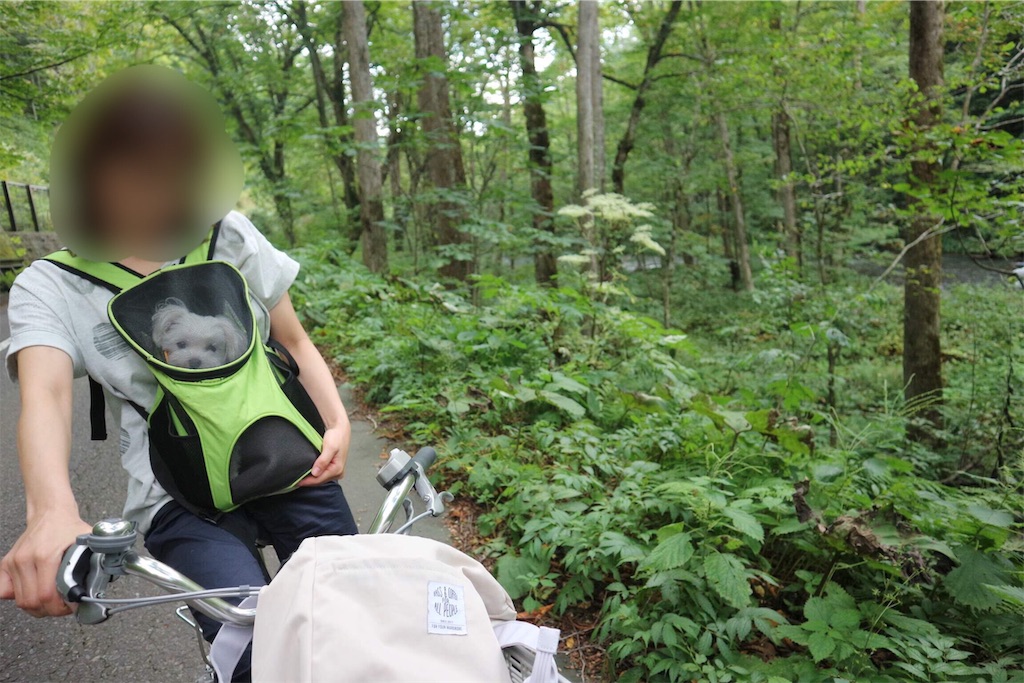 f:id:harupug:20190715093503j:image