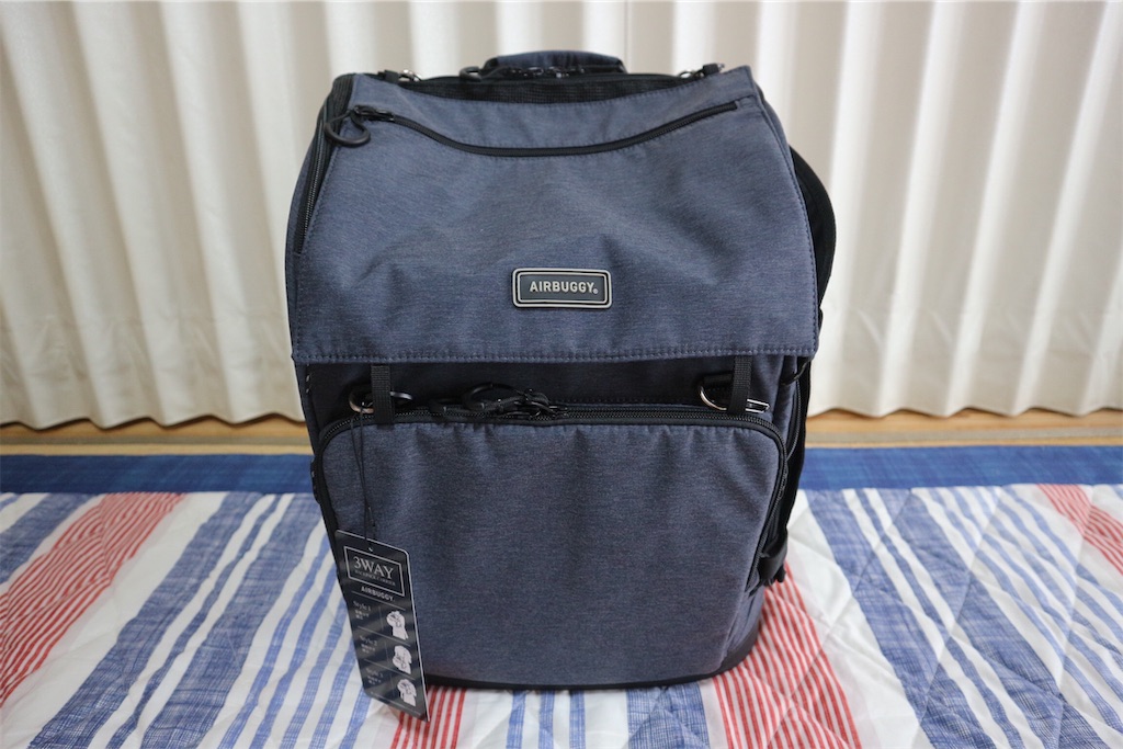 f:id:harupug:20190730120139j:image