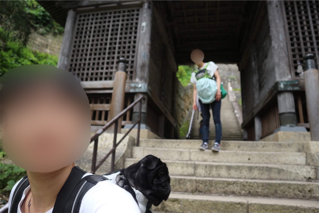 f:id:harupug:20190810114429j:image
