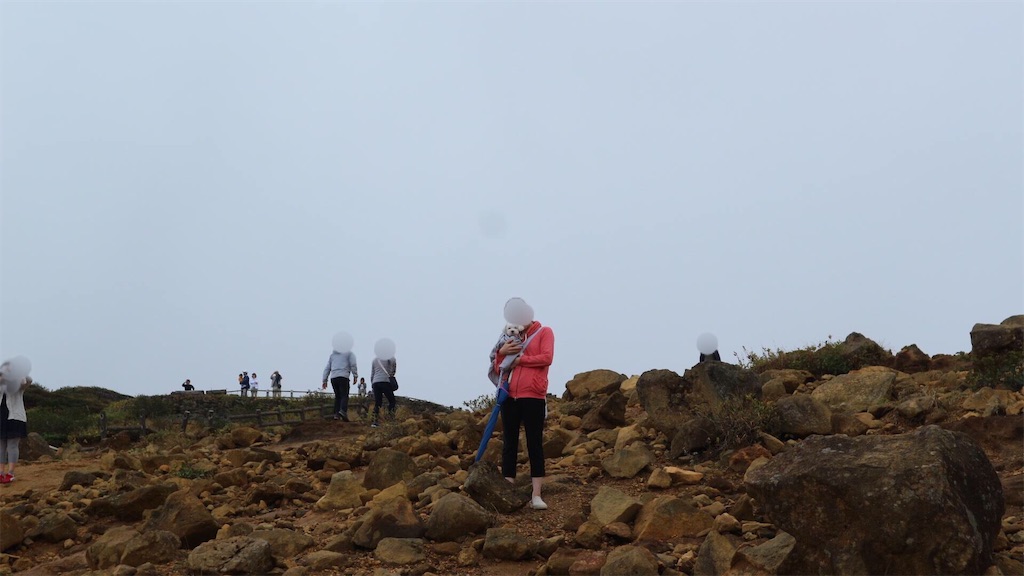 f:id:harupug:20190821143951j:image