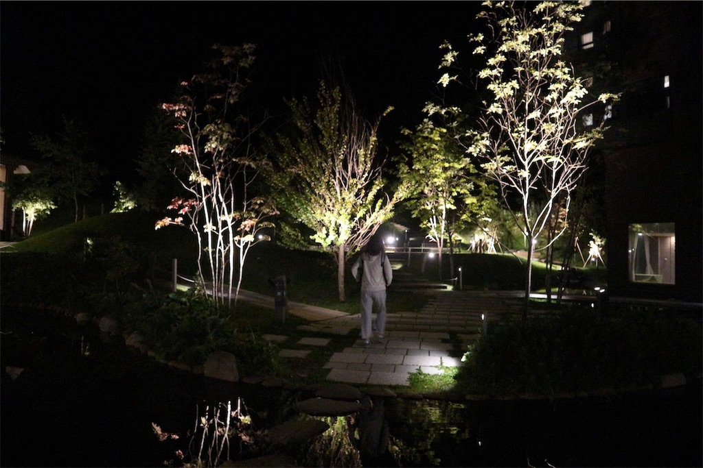 f:id:harupug:20190929152405j:image