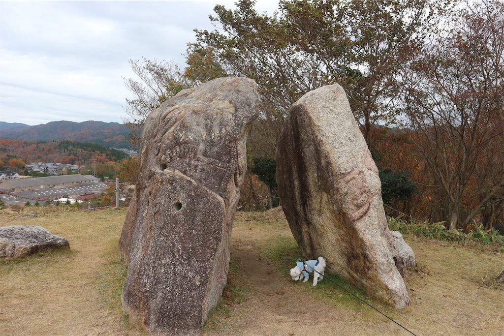 f:id:harupug:20191129001924j:image