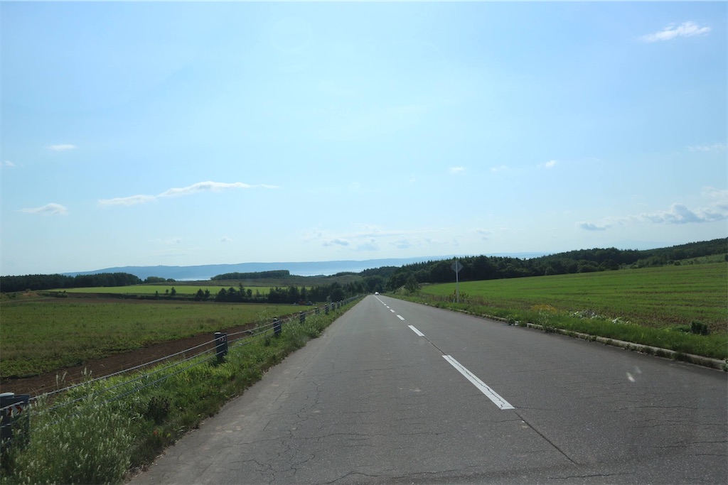 f:id:harupug:20200221110936j:image