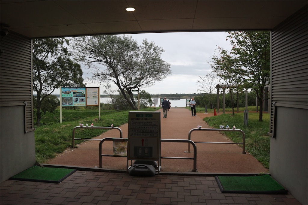 f:id:harupug:20200610142030j:image