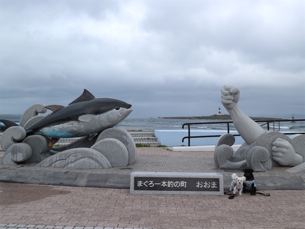 2020 犬連れ北海道旅行 15日目 - harupug